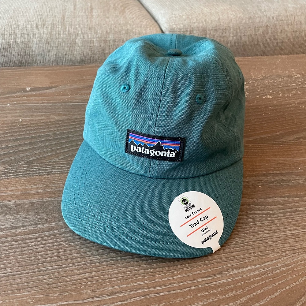 BWT Patagonia Baseball Cap Teal